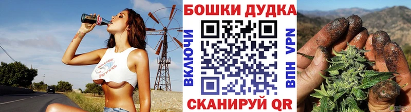 MEGA tor  Павловск  Бошки Шишки индика 